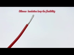 Welke Elektrodraad van Diametersqmm zoekt u? | Weergeven Teflonul Reeks in Dingzun | UL3133