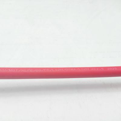 Goede prijs Instrumentenkabel 300/500V 2C2.5 CU/MGT/XLPE/OS/FR/LSZH/GSWA/LSZH 2x2.5 Online