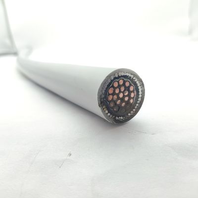 Goede prijs Multi-Cores Instrumentation Cable Brandbestendige kabel CU/MGT/XLPE/OS/FR/LSZH/GSWA/LSZH 20х1 Online